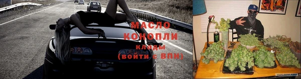 сатива Аркадак