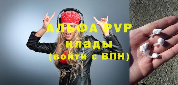 сатива Аркадак